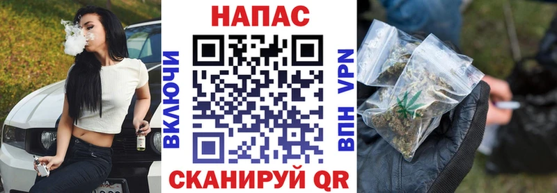 наркошоп  Нягань  Каннабис сатива 